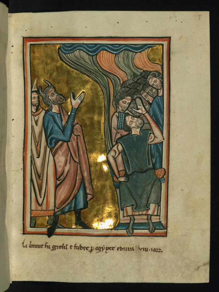 Historical manuscript or illustration related to Liber de Grandine